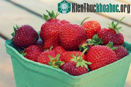 Sự tích trái cây qua các truyện kể dân gian thế giới