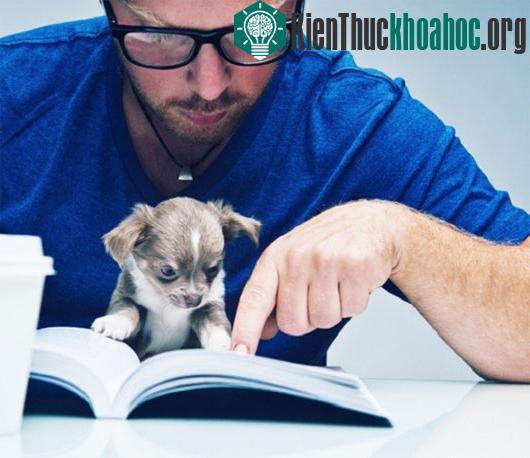 Những hành động "ngớ ngẩn" mà con người vẫn làm hàng ngày