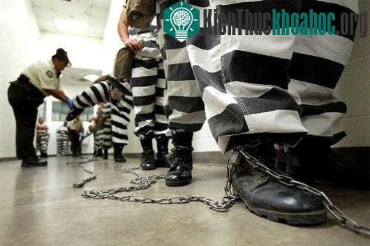 Nghiên cứu tâm lý tù nhân chỉ ra niềm tin về "đạo đức"