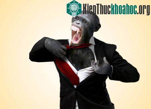 Những sự thật bất ngờ về vườn thú