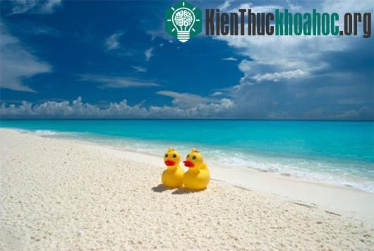 Những phát hiện khoa học tình cờ nhưng quan trọng