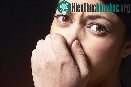Phát hiện mới về bí ẩn mùi hương ở từng người