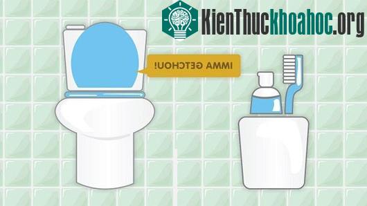 Các sự thật về thói quen vệ sinh khiến chúng ta té ngửa