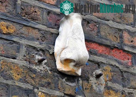 Những chiếc mũi được gắn lên tòa nhà ở Soho. (Ảnh: wordpress)