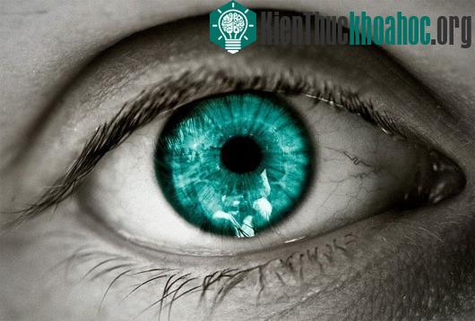 Các lầm tưởng "ngớ ngẩn" thời Hy Lạp cổ đại về con người