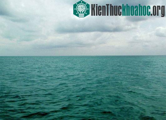 Đại Tây Dương đã nhấn chìm chuyến bay 990 của hãng hàng không Ai Cập khiến 217 người thiệt mạng