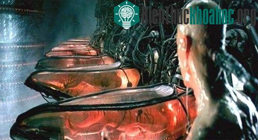 Thử "cân não" với các thí nghiệm tâm lý thú vị