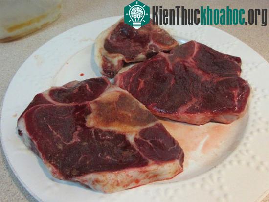 Những sự thật thú vị về loài gấu ít người biết đến