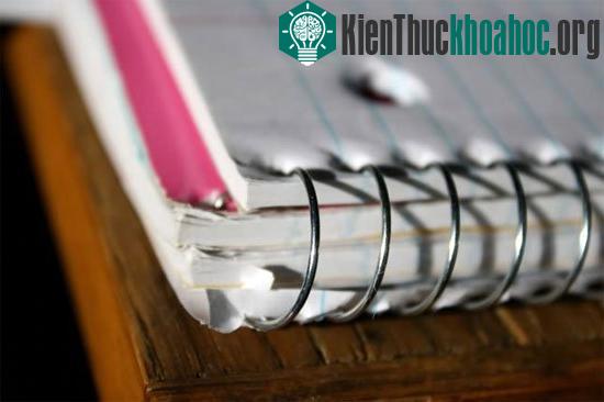 Sự thú vị của những người thuận tay trái