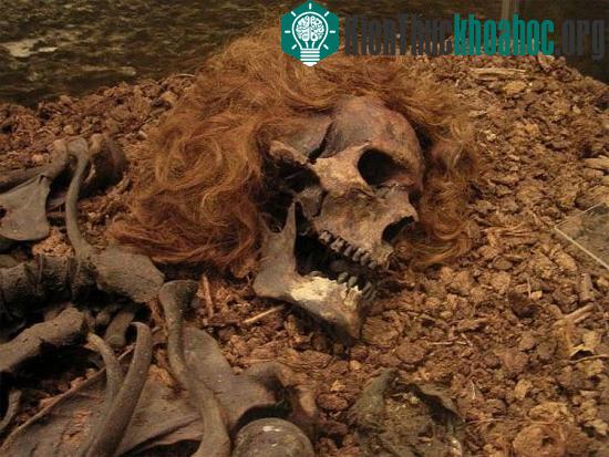 Bộ não cũng như các bộ phận khác trên cơ thể vẫn trong tình trạng khá nguyên vẹn
