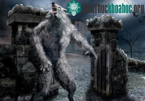 Quái thú gieo rắc nỗi kinh hoàng khắp nước Pháp