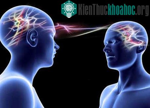Khoa học vẫn chưa chứng minh được khả năng "thần giao cách cảm" giữa các cặp sinh đôi