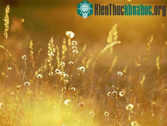Kinh nghiệm chụp ảnh du lịch ngược sáng