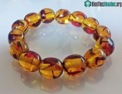Tìm hiểu về sự hình thành hoá thạch trong tự nhiên (1)