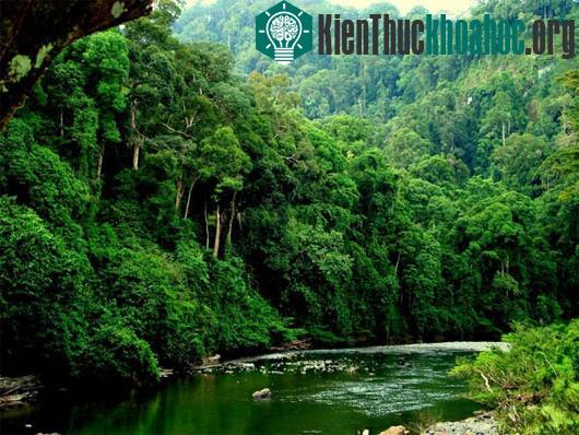 Ghé thăm 8 địa danh kỳ bí "ẩn giấu" trên Trái đất