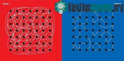Sự liên lạc và kết nối