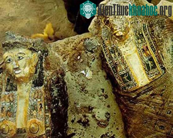 Một phần nấm mồ chung.