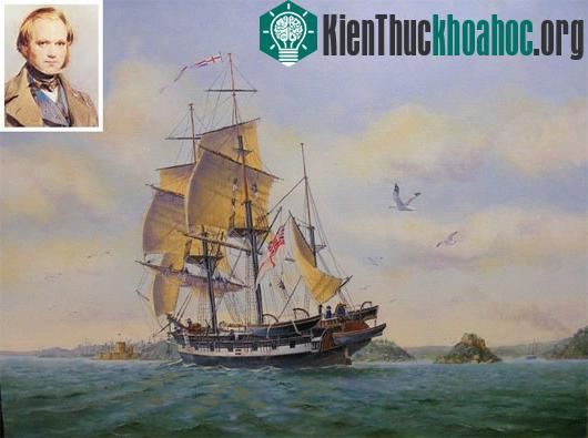 Hình vẽ con tàu HMS Beagle và Charles Darwin thời trẻ