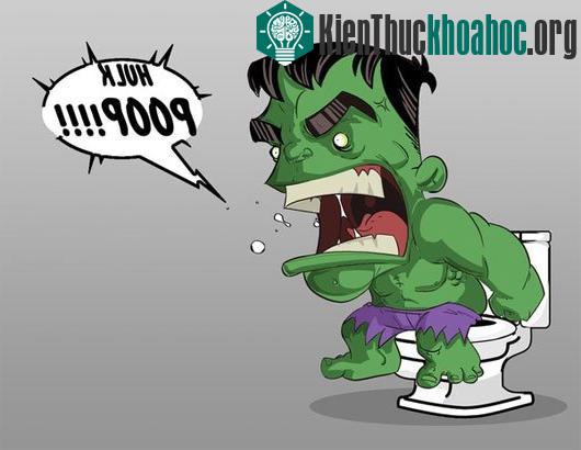 5 lầm tưởng ít biết về chuyện "đại tiện" của con người ảnh 2