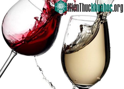 Rượu từng được coi là thước đo sự thật ở mỗi con người