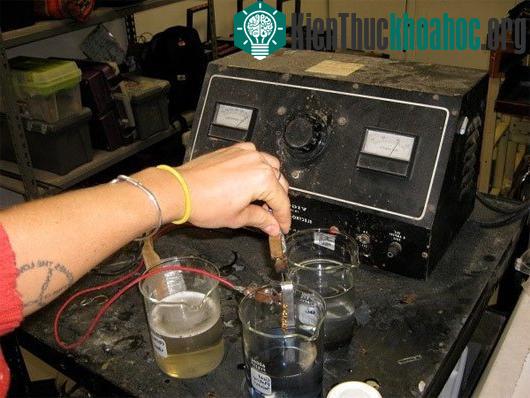 Quy trình làm hoa hồng dát vàng và bí kíp nhận biết "hàng fake" ảnh 2