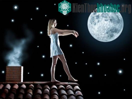 Mộng du và những điều có thể bạn chưa biết