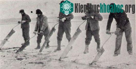 10 công việc đã tuyệt chủng