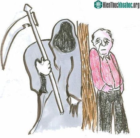 Tỉ lệ tử vong tăng dần một cách từ từ theo quy luật nhất định
