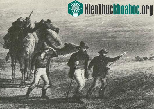Burke, Wills, Gray và King đã tách đoàn để đi thám hiểm phương Bắc