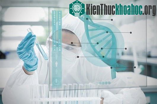 Những phát hiện khoa học tình cờ nhưng quan trọng