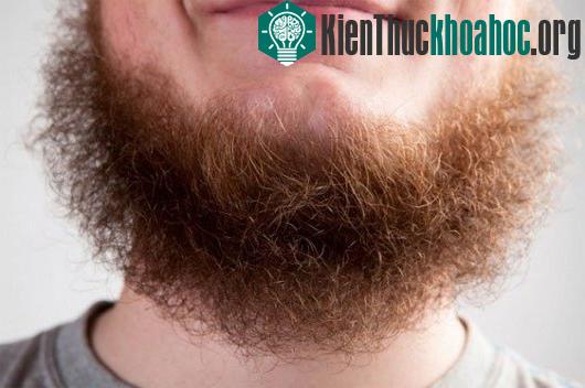Nghiên cứu các thói quen "không ngờ" khiến bạn bị ghét