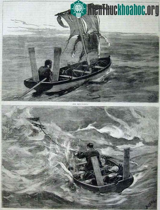 Thảm họa "ăn thịt người" trên con tàu đắm Mignonette