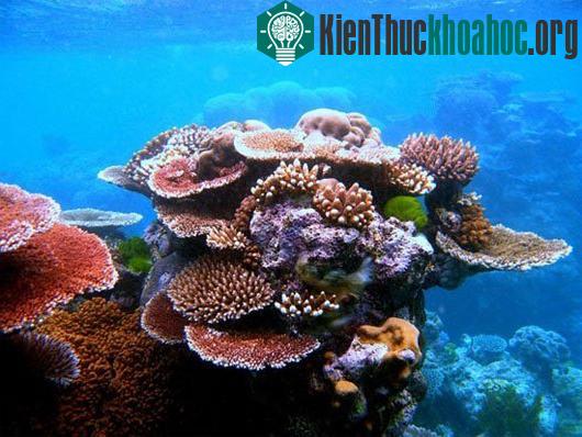 Những bí ẩn khoa học mới được giải đáp