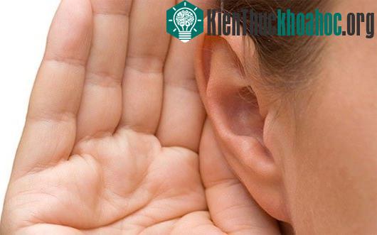 5 giác quan "bật mí" giới hạn đỉnh điểm của con người