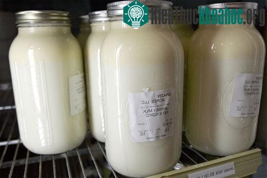 Những phát hiện "nhỏ nhặt" giúp con người "sống dai" hơn