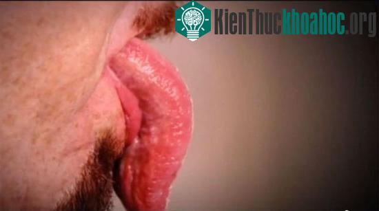 Chiếc lưỡi khổng lồ khiến không ít người giật mình khi nhìn thấy