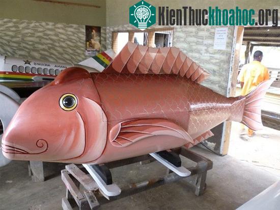 Một chiếc quan tài có hình con cá