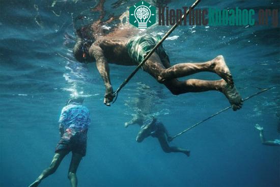 Dân du mục biển Moken tự tin mưu sinh nhờ am hiểu kiến thức đặc biệt về đại dương và sinh vật biển