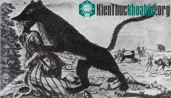 Quái thú gieo rắc nỗi kinh hoàng khắp nước Pháp