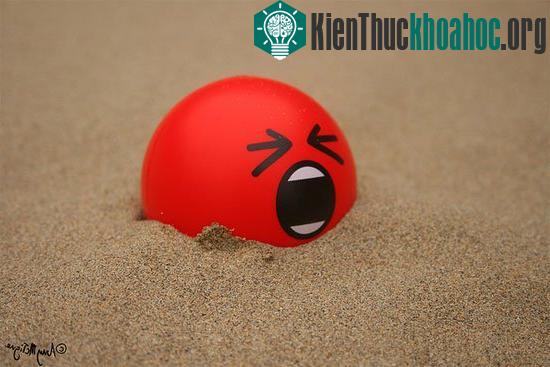 Tác hại khôn lường của việc nói dối đối với trí não con người