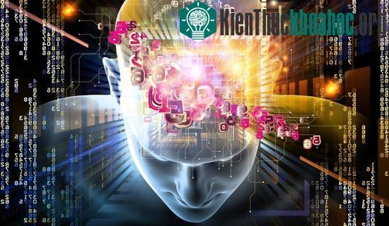 Tuổi thọ của con người