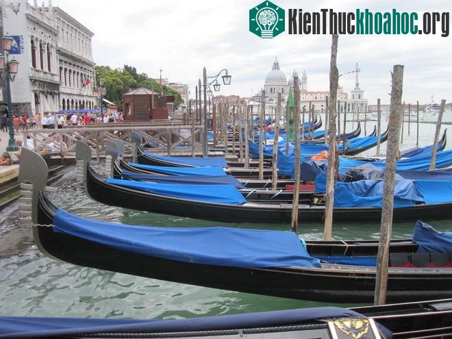 Gondola là loại thuyền truyền thống và đặc trưng nhất của Venice. Với hình dáng nhỏ, dài, mũi thuyền cong vút và được trang trí họa tiết cầu kỳ mang tính thẩm mỹ cao, Gondola là một sự trải nghiệm ...