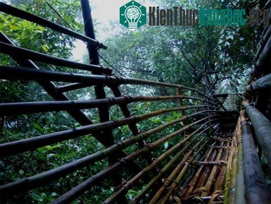 Ngôi làng sạch nhất thế giới - Nơi phụ nữ làm chủ