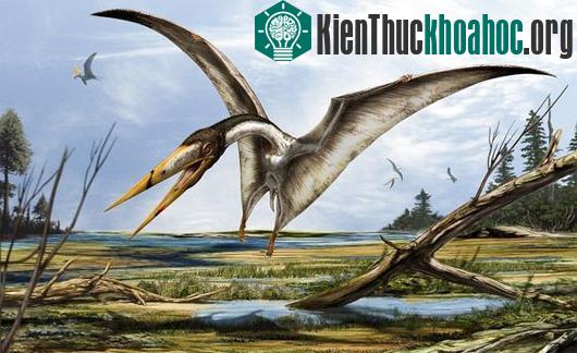 Khoa học đưa ra công thức thú vị để tạo ra rồng lửa