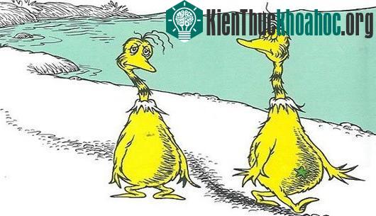 Khoa học lý giải tại sao bạn nghĩ mình giỏi hơn người