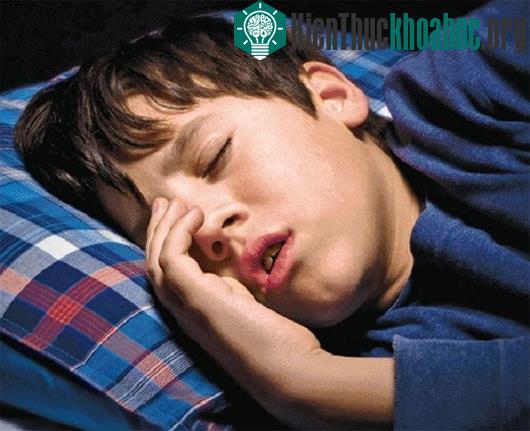 Lý giải chuyện mùa lạnh làm bạn "dính chặt lấy giường"