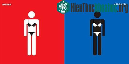 Tiêu chuẩn về phụ nữ đẹp