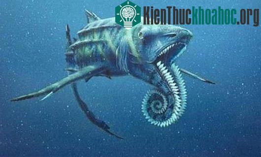 Những bí ẩn khoa học mới được giải đáp