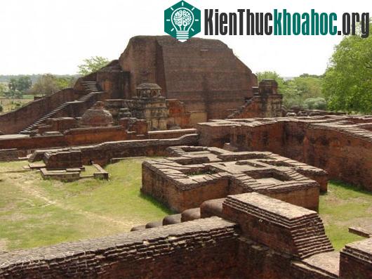 5 kho báu tri thức bị chính con người hủy hoại