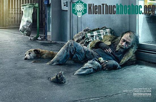 Xem thông điệp ám ảnh về sự vô tâm của con người